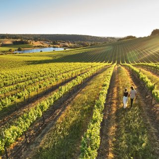 Bunbury Geographe_Ferguson Valley_Willow Bridge Estate_Credit Francis Andrijich-web